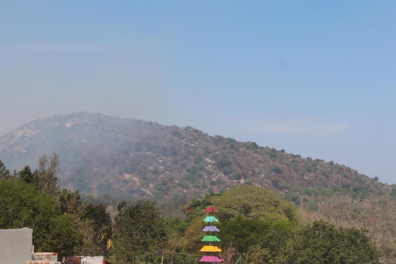 Olive Hills Yelagiri - Families Only - Full Duplex House - Yelagiri别墅 外观 照片
